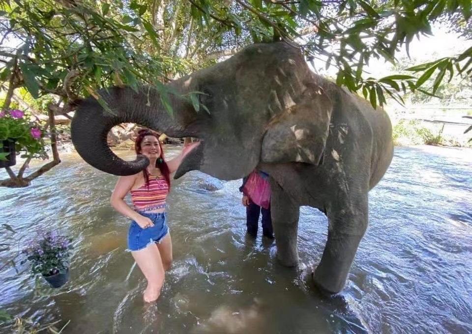 3 Pok Maewang Jinxiang Gold Elephant Park แม่วาง ภายนอก รูปภาพ